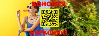 гидра Заволжье