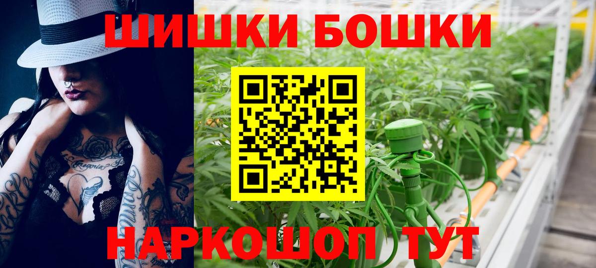A PVP Прокопьевск